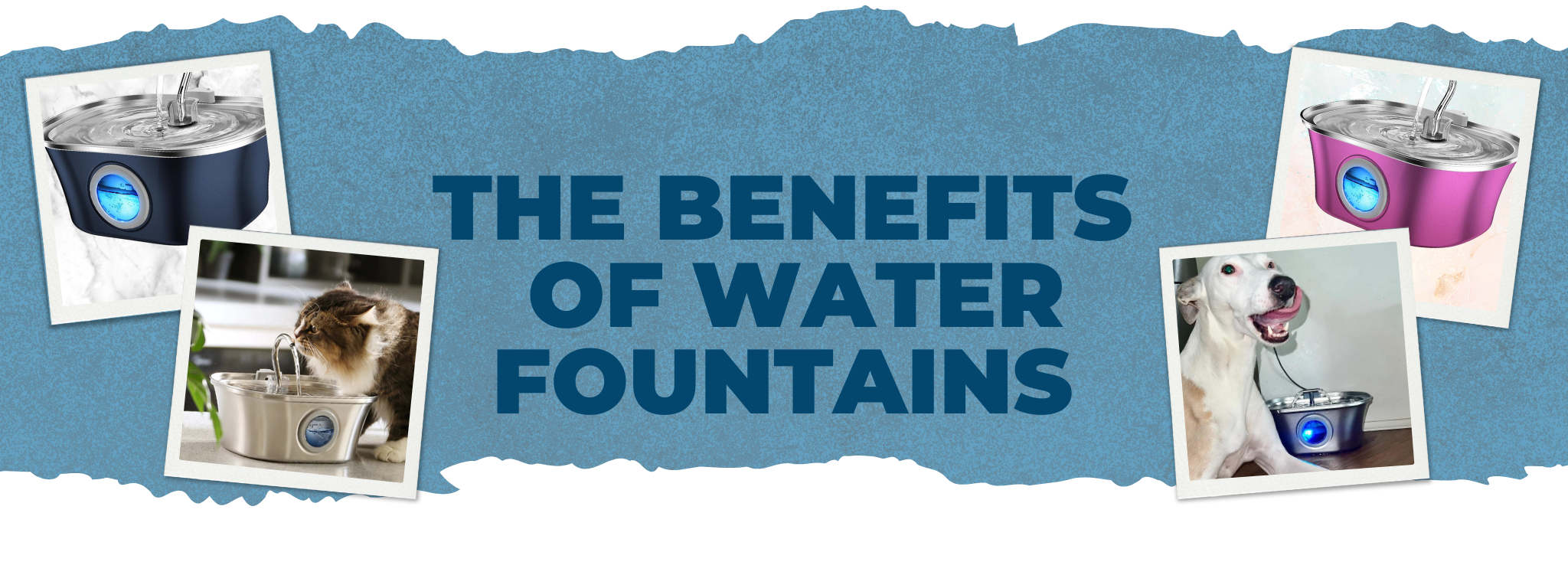 Benefit of water fountains pets