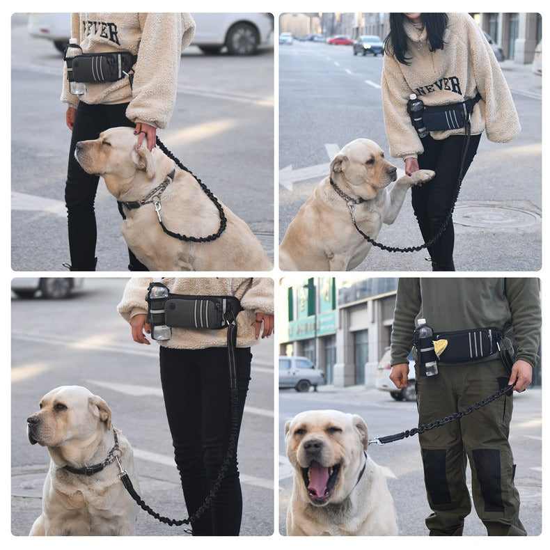 Breathable Waterproof Outdoor Sports waist bag - elastic dog walking lead